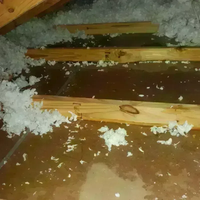 Attic Water Damage in Mukwonago, WI